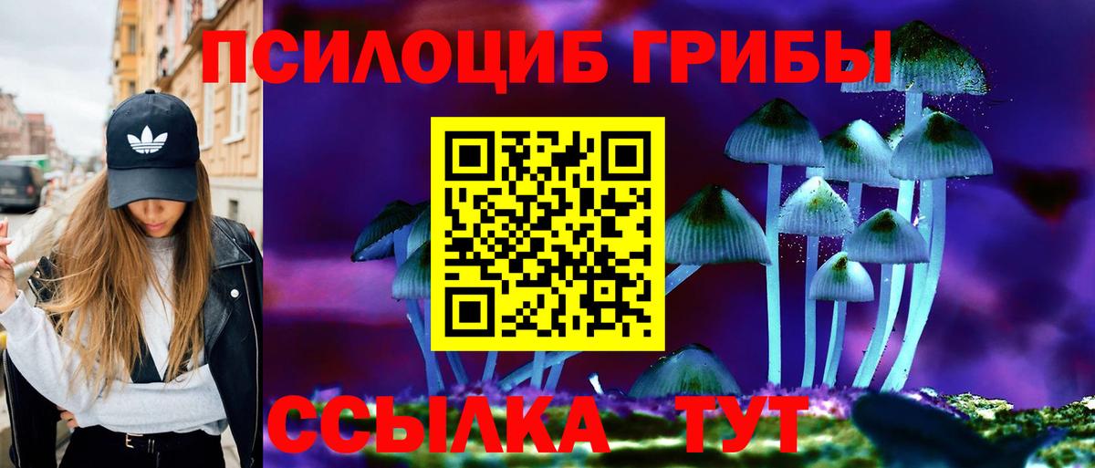 Галлюциногенные грибы MAGIC MUSHROOMS Будённовск
